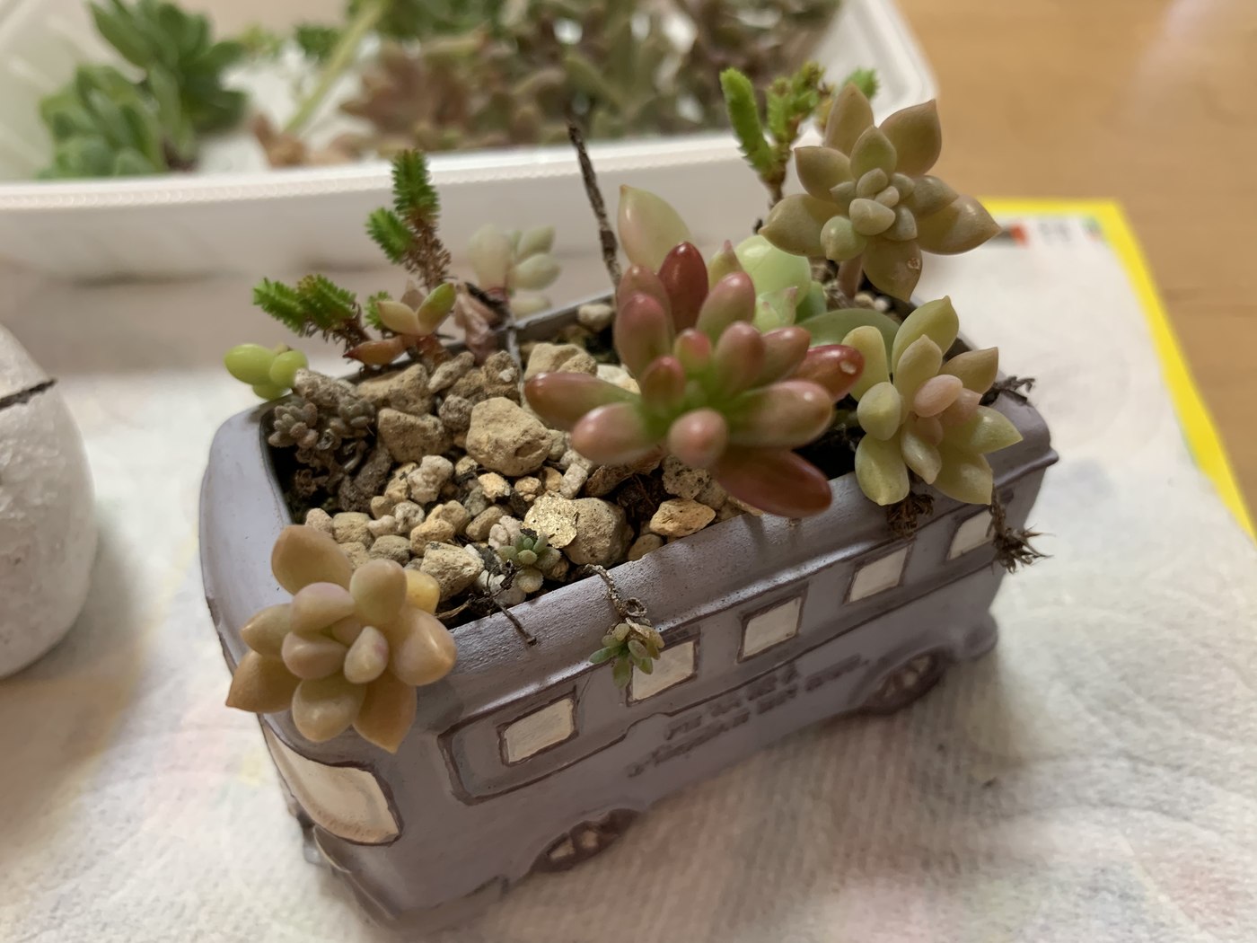 車の形の鉢の寄せ植え（作業前）
